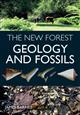 New Forest: Geology & Fossils