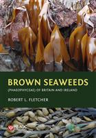 Brown Seaweeds (Phaeophyceae) of Britain and Ireland