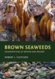 Brown Seaweeds (Phaeophyceae) of Britain and Ireland