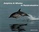 Dolphins & Whales in Pembrokeshire
