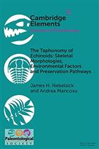 The Taphonomy of Echinoids: Skeletal Morphologies, Environmental Factors and Preservation Pathways