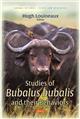 Studies of Bubalus bubalis and their Behaviors