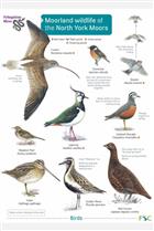 Moorland Wildlife of the North York Moors (Identification Chart)