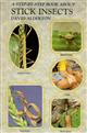 A Step-By-Step Book About Stick Insects