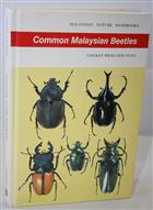 Common Malaysian Beetles