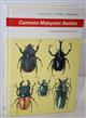 Common Malaysian Beetles