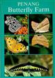 Penang Butterfly Farm: A Guide