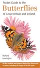 Pocket Guide to Butterflies of Great Britain and Ireland