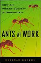 Ants at Work: How an Insect Society is Organized