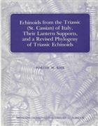 Echinoids from the Triassic (St Cassian) of Italy, Their Lantern Supports and a Revised Phylogeny of Triassic Echinoids