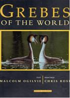 Grebes of the World