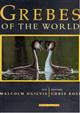 Grebes of the World