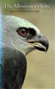 The Mississippi Kite:  Portrait of a Southern Hawk