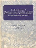 Relationships of Megaoryzomys curioi, an extinct Cricetine rodent (Muroidea: Muridae) from the Galapagos Islands, Ecuador