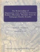 Relationships of Megaoryzomys curioi,</i) an extinct Cricetine rodent (Muroidea: Muridae) from the Galapagos Islands, Ecuador