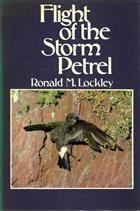 Flight of the Storm Petrel