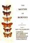 The Moths of Borneo 1: Cossidae - Limacodidae