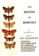 The Moths of Borneo 1: Cossidae - Limacodidae