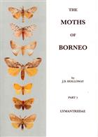 The Moths of Borneo 5: Lymantriidae