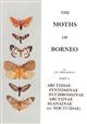 The Moths of Borneo 6: Arctiidae: Synthominae, Euchromiinae, Arctiinae, Aganainae (Camptoloma)