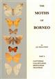 The Moths of Borneo 8: Castniidae, Callidulidae, Drepanidae, Uraniidae