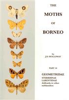 The Moths of Borneo 10:  Geometridae: Sterrhinae, Larentiinae