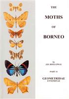 The Moths of Borneo 11: Geometridae: Ennominae