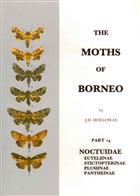 The Moths of Borneo 14: Noctuidae: Euteliinae, Stictopterinae, Plusiinae, Pantheinae