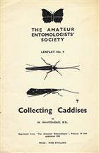 Collecting Caddises