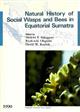 Natural History of Social Wasps and Bees in Equatorial Sumatra