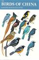 The Birds of China