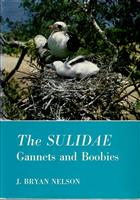 The Sulidae: Gannets and Boobies