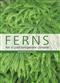 Ferns for a Cool Temperate Climate
