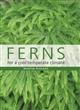 Ferns for a Cool Temperate Climate