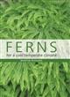 Ferns for a Cool Temperate Climate