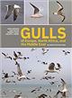 Gulls of Europe, North Africa, and the Middle East: An Identification Guide