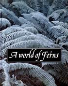 A World of Ferns