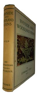 Wayside and Woodland Ferns: A Guide to the British Ferns Horsetails and Club-Mosses