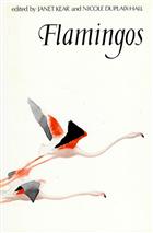 Flamingos