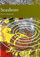 The Seashore (New Naturalist 94)