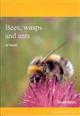 Bees, Wasps and Ants of Kent: A provisional atlas