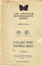 Collecting Bumblebees (Amateur Entomologists' Society Leaflet No. 25)