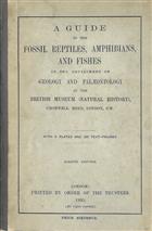 A Guide to the Fossil Reptiles, Amphibians, and Fishes in the Department of Geology and Palaeontology in the British Museum (Natural History)