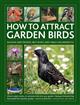 How to Attract Garden Birds: Building Bird Feeders, Nest Boxes, Bird Tables and Birdbaths