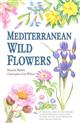 Mediterranean Wild Flowers