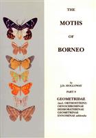 The Moths of Borneo 9:  Geometridae: Oenochrominae, Desmobathrinae, Geometrinae