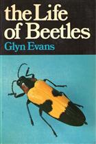 The Life of Beetles
