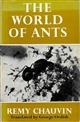 The World of Ants: A science fiction universe
