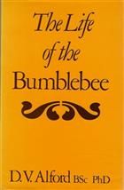 The Life of the Bumblebee