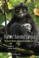 Raffles' Banded Langur: The Elusive Monkey Of Singapore And Malaysia